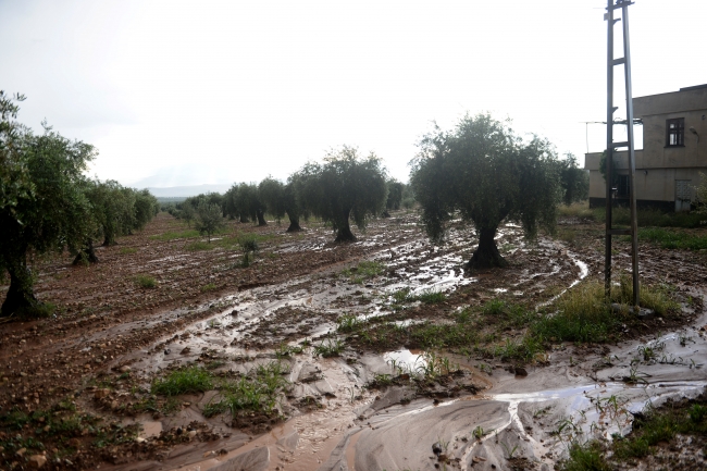 Kilis'te sağanak yağış sele neden oldu