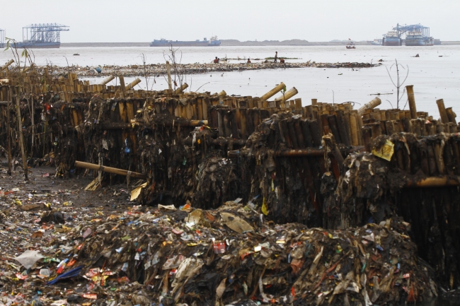 Plastik yiyen mantar türü çevre kirliliğine çare olabilir