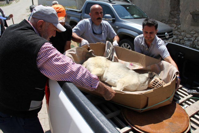 Polis ve belediye ekipleri köpeklerin imdadına yetişti