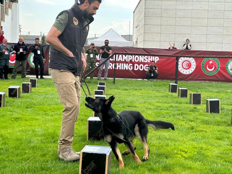 Narkotiğin hassas burunları Ankara'da yarışıyor