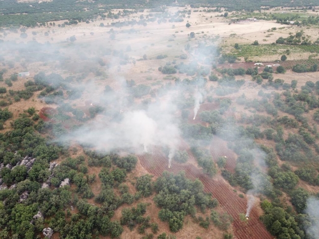 Fotoğraf: TRT Haber