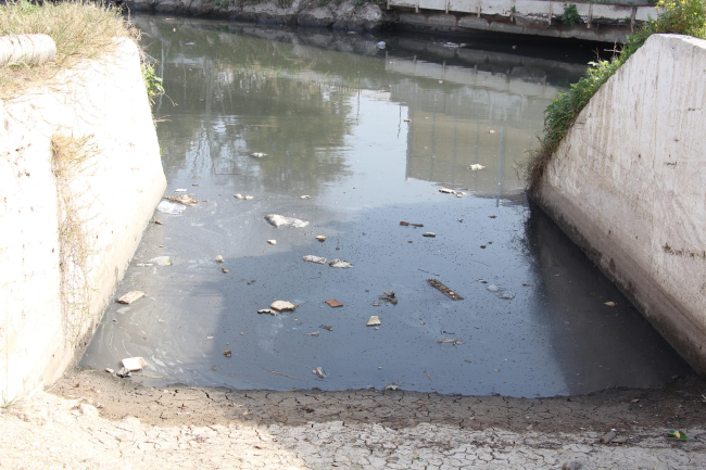 İzmir'in 'koku sorunu' bu yıl erken başladı