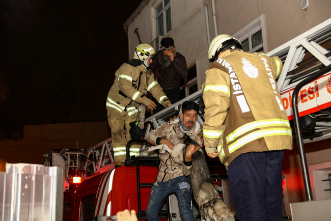 İstanbul'da bina yangını: Mahsur kalan 3 kişi ve bir köpek kurtarıldı