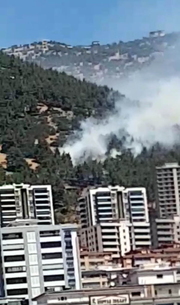 Kahramanmaraş'ta orman yangını