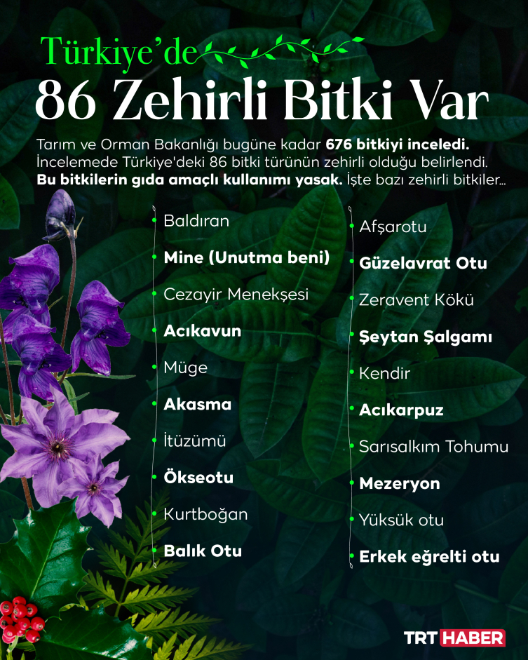 Çevremizde 86 çeşit zehirli bitki var