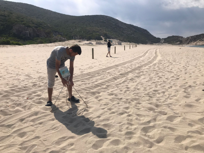 Antalya'nın 3 sahilinde caretta devriyesi: 109 bin liraya kadar cezası var