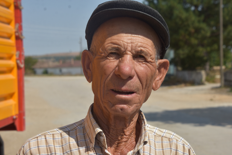 Edirne'de köylere inen kurtlar, koyunlara saldırdı