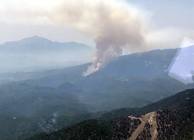 Hatay'da çıkan orman yangını kontrol altına alındı