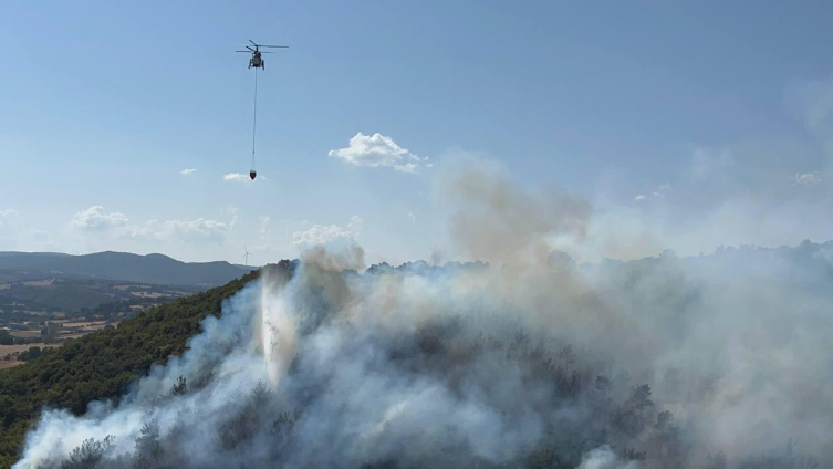 Çanakkale'de orman yangını