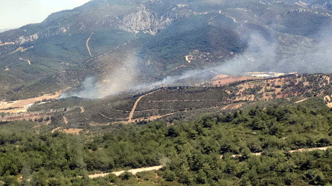 İzmir'de orman yangını