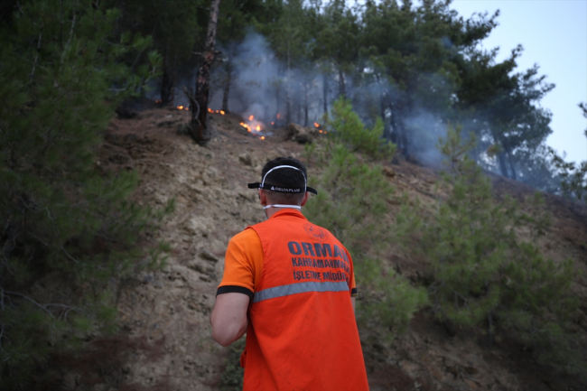 Kahramanmaraş'ta çıkan orman yangını kontrol altına alındı