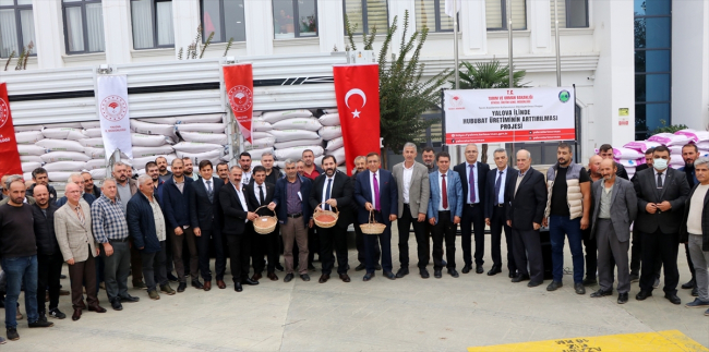 Yalova'da çiftçilere 135 ton buğday ve arpa tohumu dağıtıldı