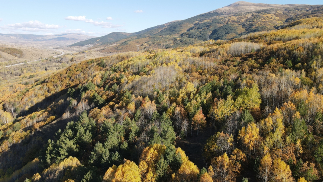 Erzincan'da sonbahar