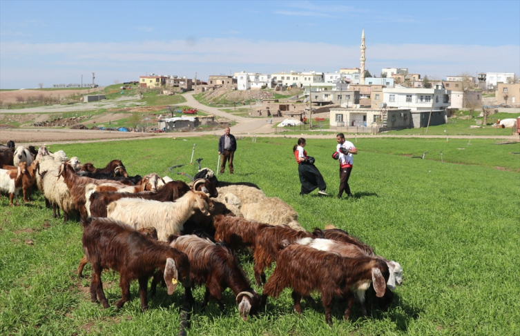 Fotoğraf: AA