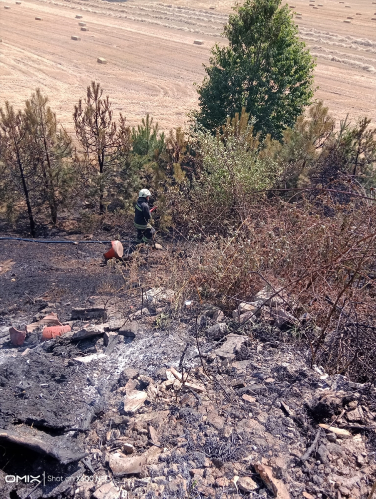 Bolu'da otoyolun kenarındaki otluk alanda çıkan yangın söndürüldü