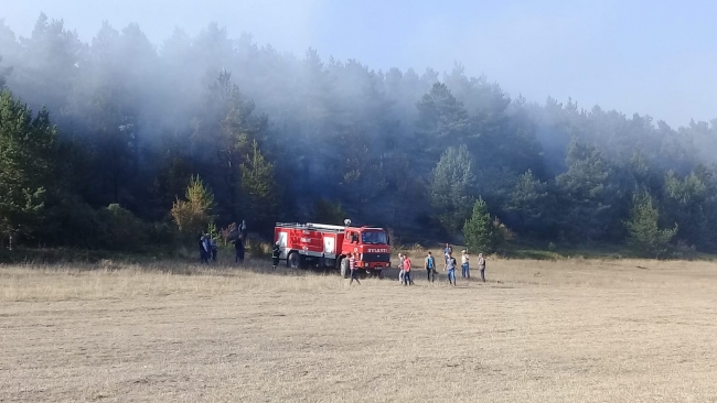 Ordu'da örtü yangını kontrol altına alındı