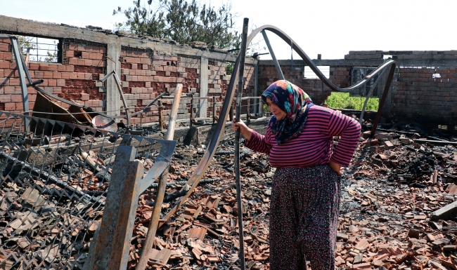 Telef olan hayvanları için gözyaşlarına boğuldu