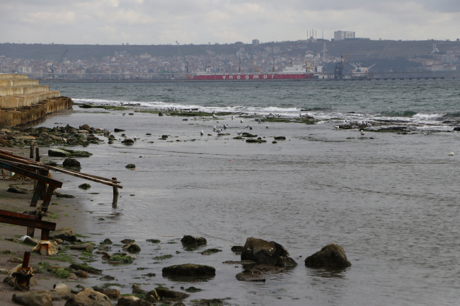 Tekirdağ'da deniz suyu çekildi