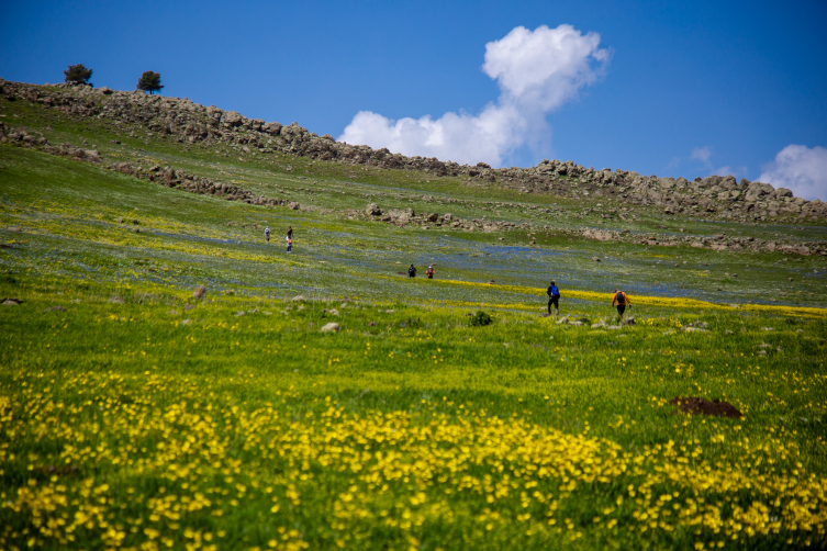 Ardahan'daki Şerefin Dağı ve Üç Tepeler canlanan doğasıyla dağcıların rotasında