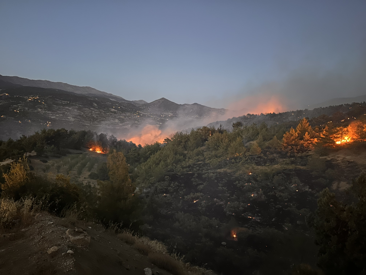 Kahramanmaraş'ta orman yangını