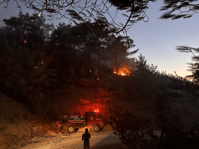 Kahramanmaraş'ta orman yangını