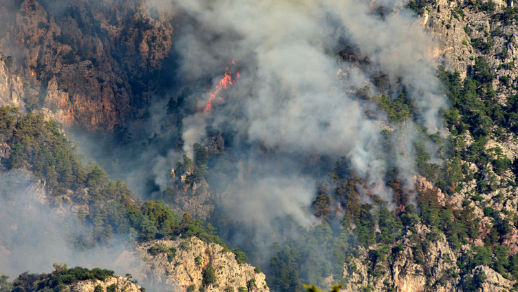 Antalya'da orman yangınına müdahale sürüyor
