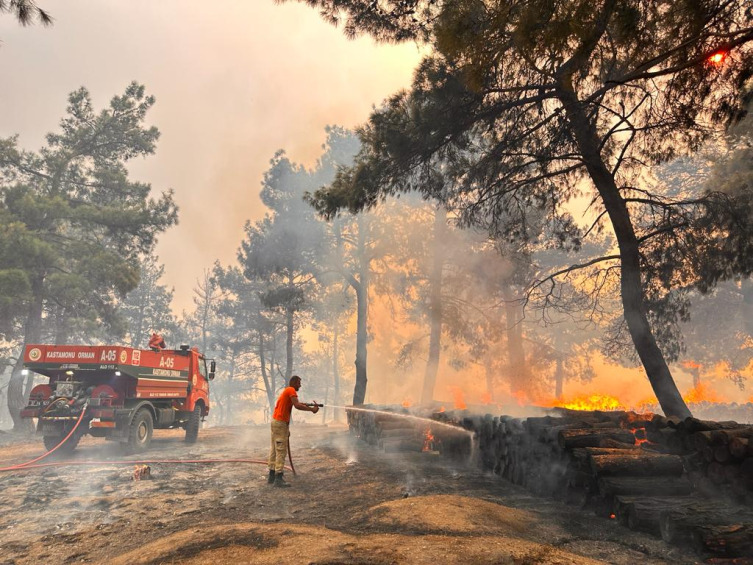 Tarım ve Orman Bakanlığı: Parça parça çıkan her dumana müdahale ediliyor