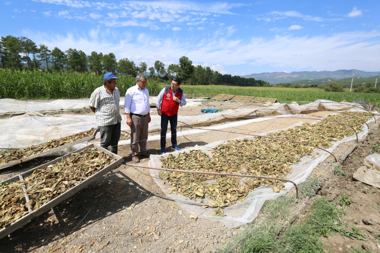 TARSİM'den yetiştiriciye hasar ödemesi