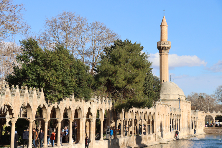 Şanlıurfa'da depremde hasar gören 54 cami yeniden ibadete açıldı