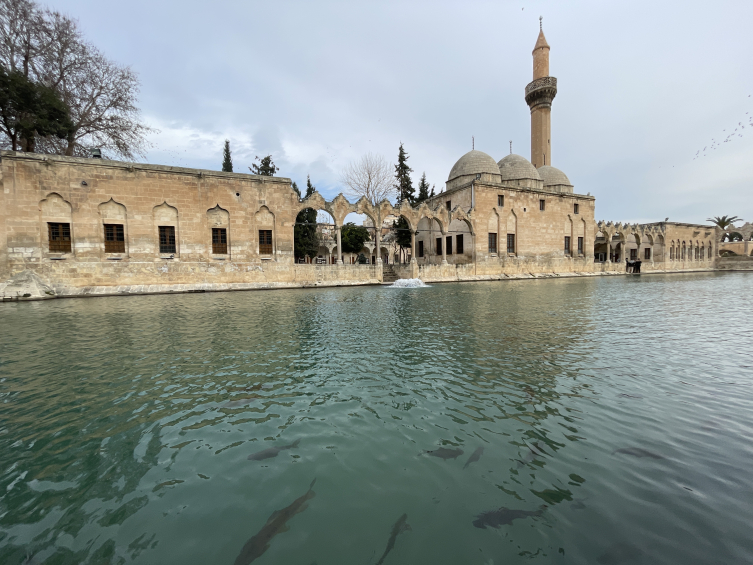 Şanlıurfa'da depremde hasar gören 54 cami yeniden ibadete açıldı