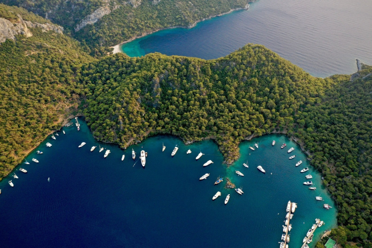 Türkiye Çevre Ajansı 4 yılda çevre için önemli adımlar attı