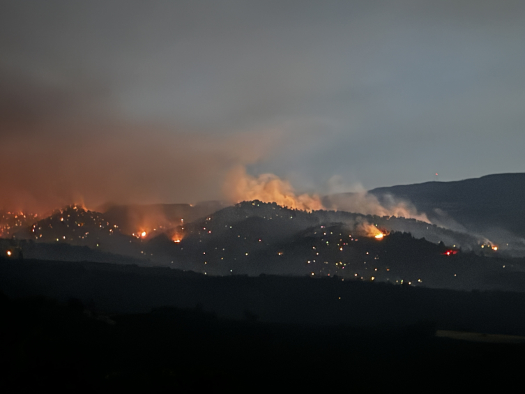 Haziran ayında orman yangınları geçen yıla göre 5 kat arttı