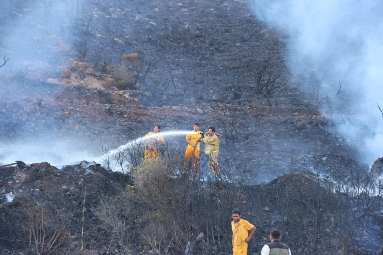 Marmaris'teki orman yangınıyla ilgili 3 kişi gözaltında