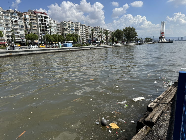 İzmir Körfezi'ndeki 50 kat fazla amonyak miktarı balıkları zehirlemiş olabilir