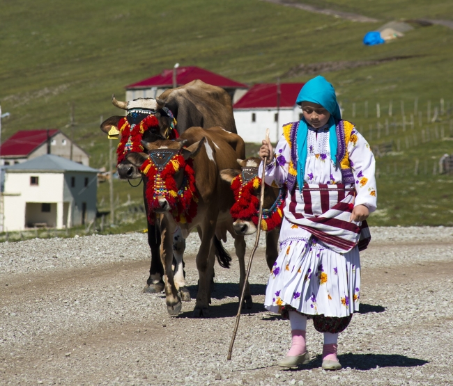 Yayla turizminin yeni adresi: Tonya