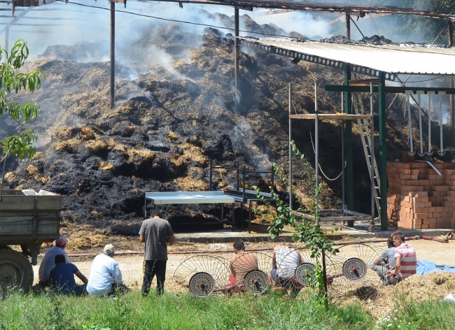 Kırklareli'nde çiftlik yandı, 25 hayvan telef oldu