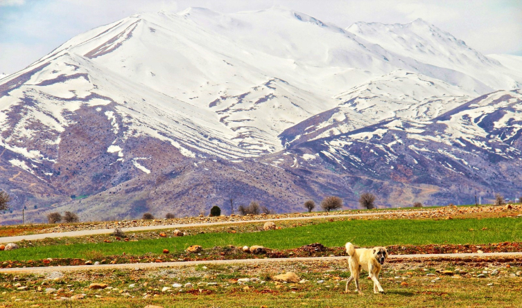 Kahramanmaraş'a yılın ilk karı yağdı