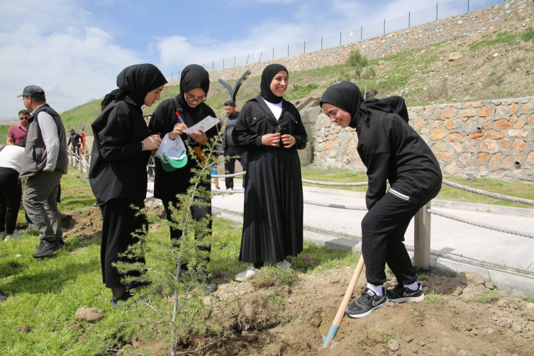 Muş'ta 270 çam ağacı toprakla buluşturuldu