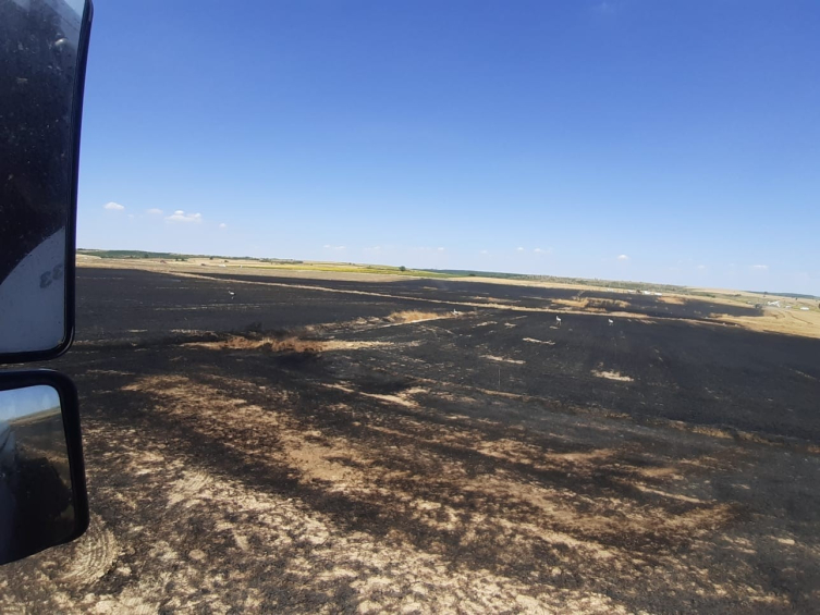 Edirne'deki yangında 38 ton buğday kül oldu