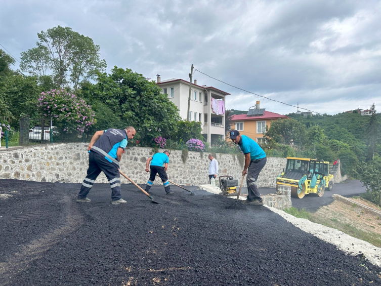 Trabzon'da kelebek hastası Ayşenur için 120 metrelik yol asfaltlandı