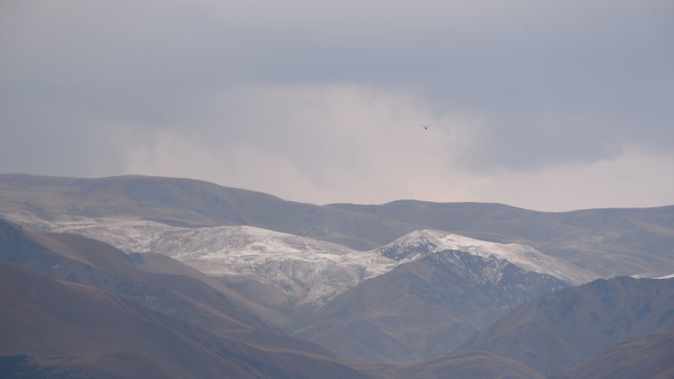 Erzurum'a mevsimin ilk karı yağdı