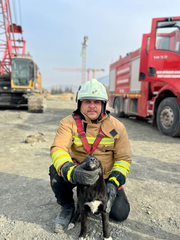 Kuyuya düşen köpeği itfaiye ekipleri kurtardı