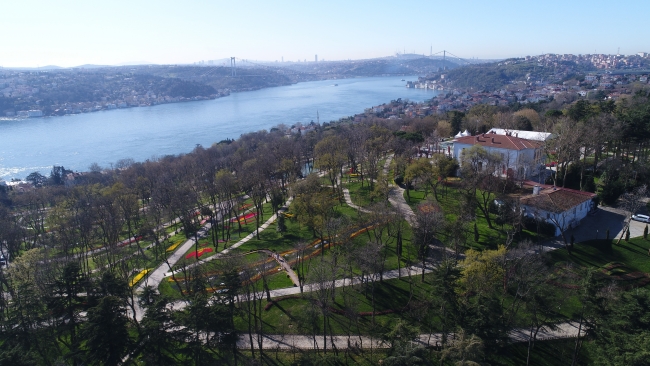 İstanbul'un dört bir yanı lale açtı