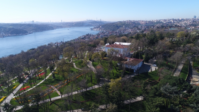 İstanbul'un dört bir yanı lale açtı