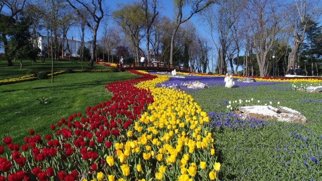 İstanbul'un dört bir yanı lale açtı