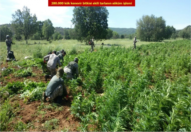 Diyarbakır'da terör örgütü PKK'nın finans kaynaklarına darbe