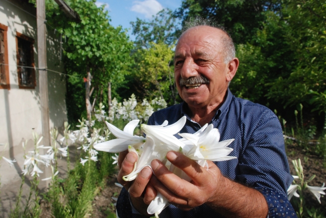 Çiçeğinin kilosu 120 lira, yağı 5 bin euro