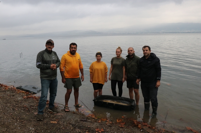 23 kiloluk sazan yakaladı, sezonun rekorunu kırdı