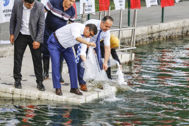 Ankara'nın göl ve göletlerine 29 bin sazan bırakılacak