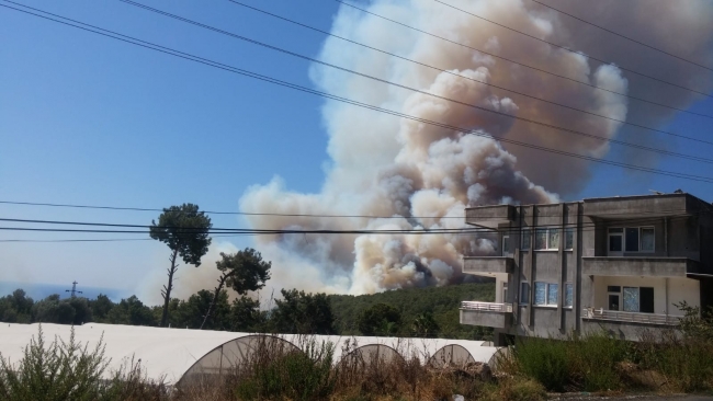 Antalya'da orman yangını kontrol altına alındı